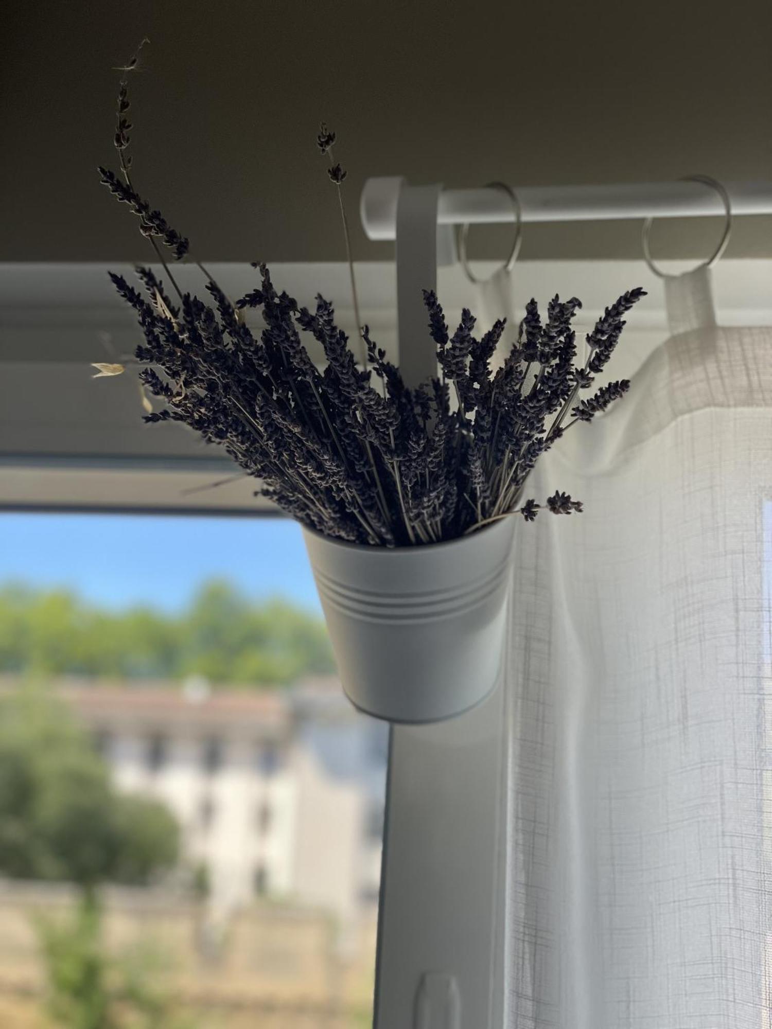 Ferienwohnung Chez Flo Avignon Exterior foto
